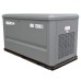 Газовый генератор EVOline GNG 13500 E