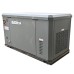 Газовый генератор EVOline GNG 13500 E