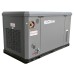Газовый генератор EVOline GNG 19000 E