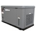 Газовый генератор EVOline GNG 19000 E