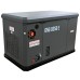 Газовый генератор EVOline GNG 9350 E