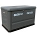Газовый генератор EVOline GNG 9350 E