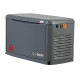 Газовый генератор PRAMAC GA8000